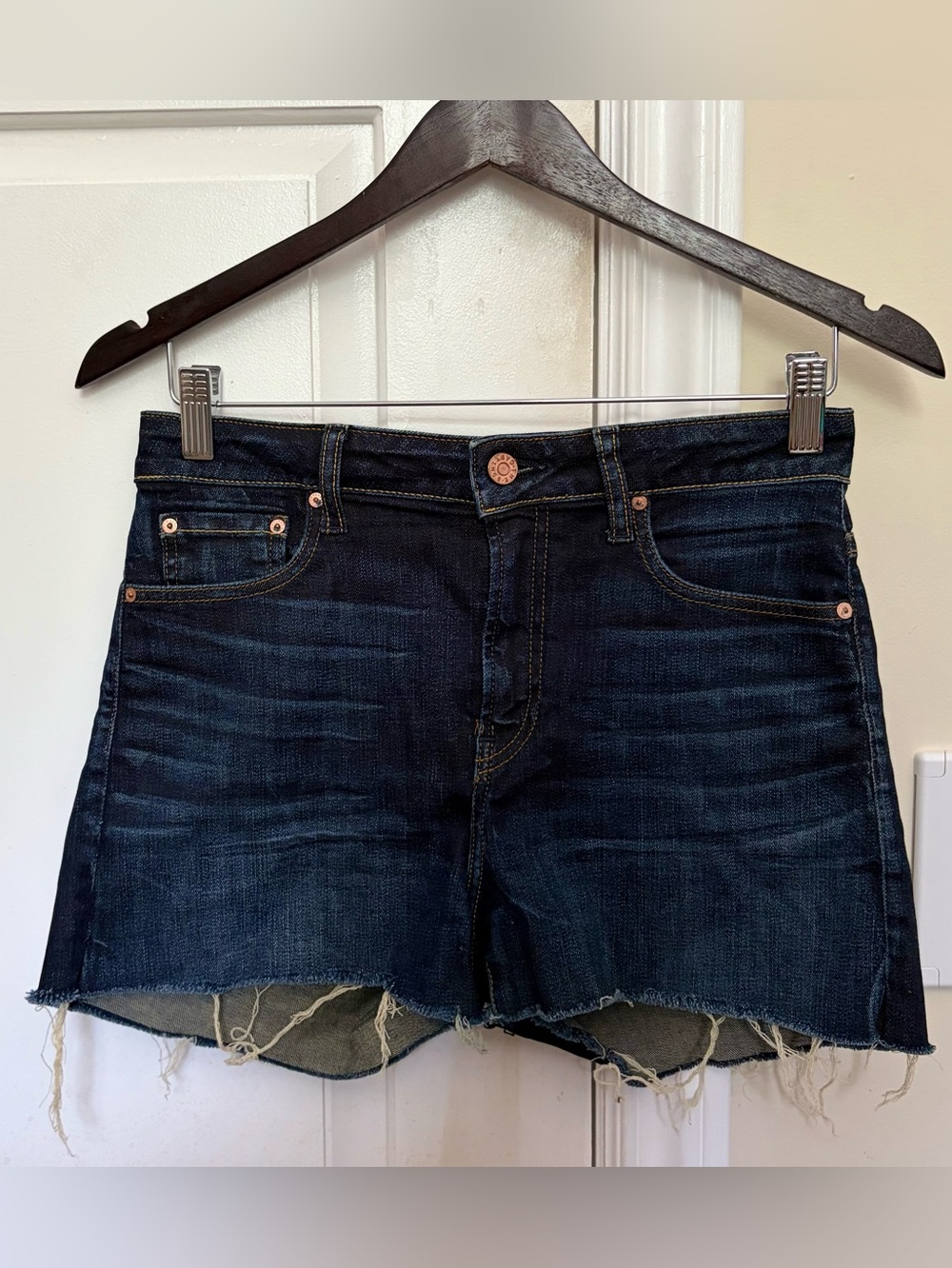 THE CASTINGS by ARITZIA Women's Dark Indigo Raw-Hem Denim Shorts (28)